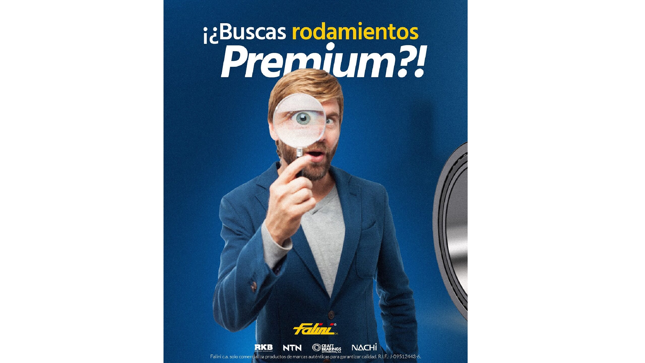 Distribuidor autorizado de rodamientos: Calidad Premium garantizada
