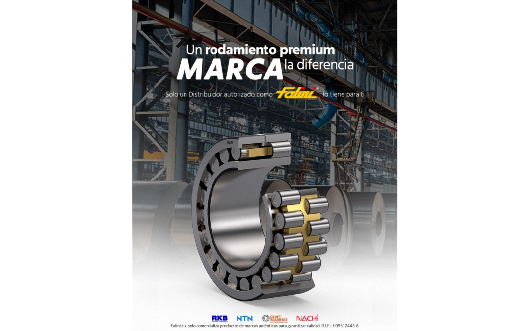 Rodamiento premium industrial seccionado marca RKB distribuido por Falini CA