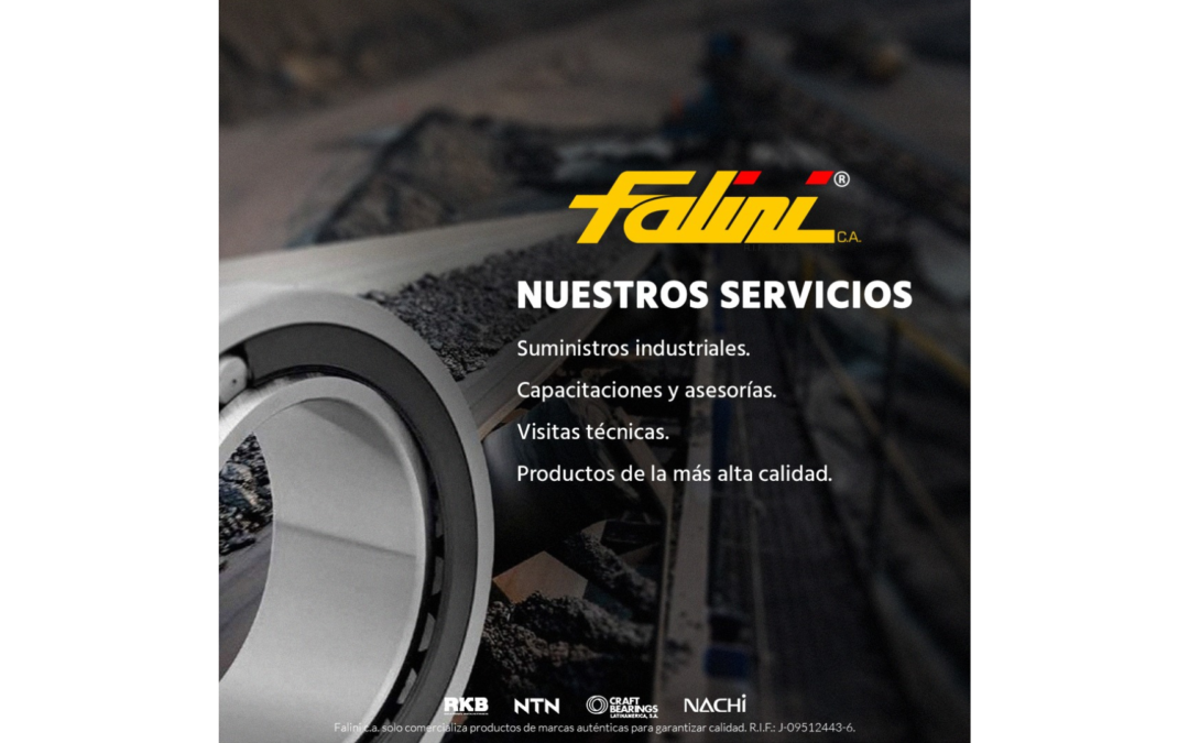 Suministros industriales, capacitaciones y visitas técnicas para rodamientos en cintas transportadoras - Falini C.A.